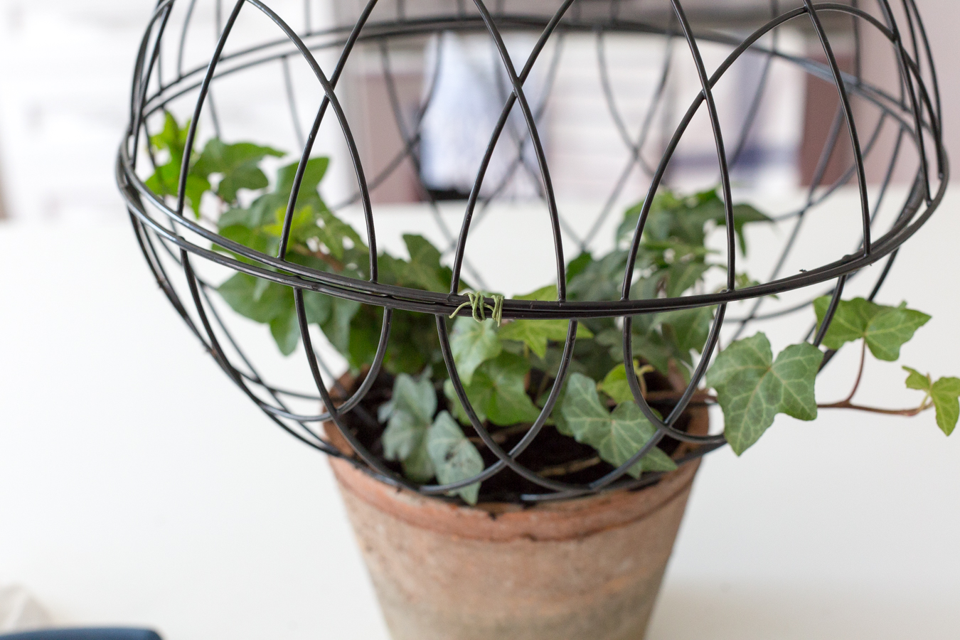 Wire Orb Topiary DIY