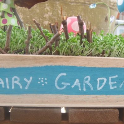 Gardening for the fairies….