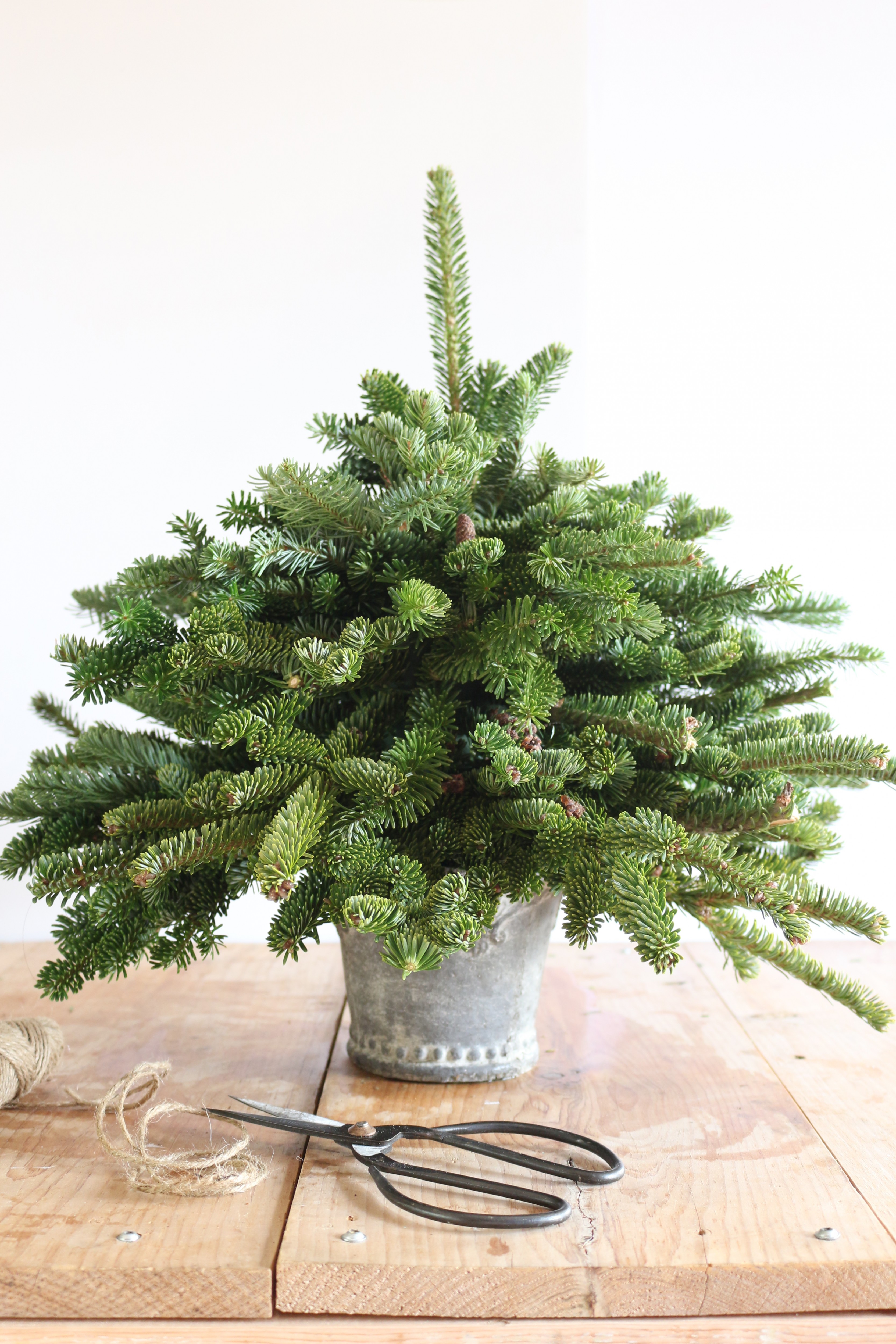 tabletop-christmas-tree-using-free-clippings