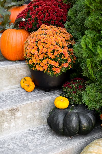 Fall Front Porch 2019