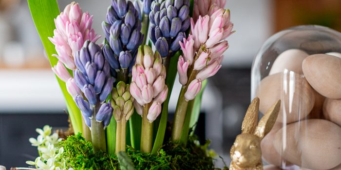 Spring Nest Flower Arrangement